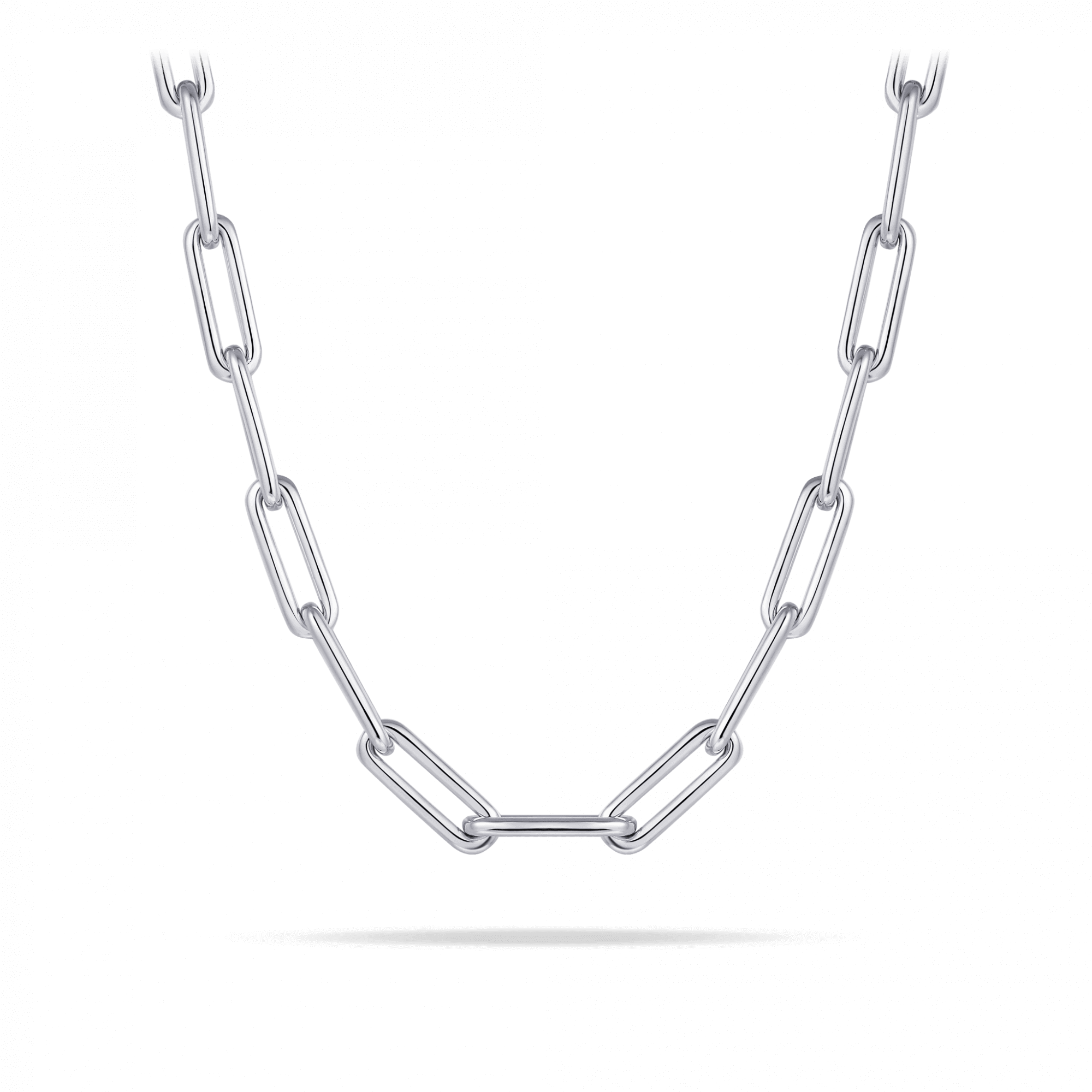 Long Link Necklace