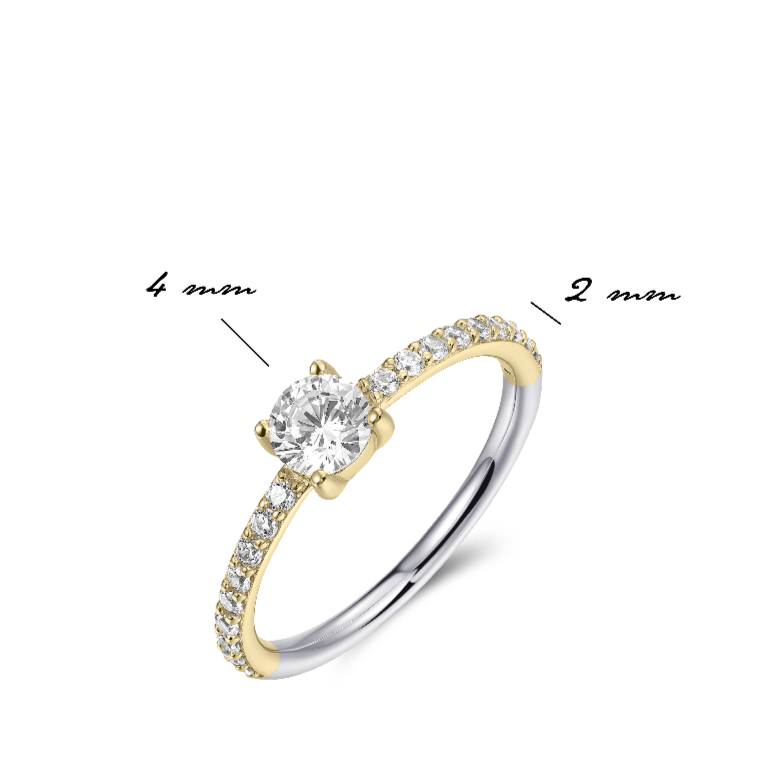 Brilliant Dashing Details Ring 18k gold plated silver Gisser Jewels