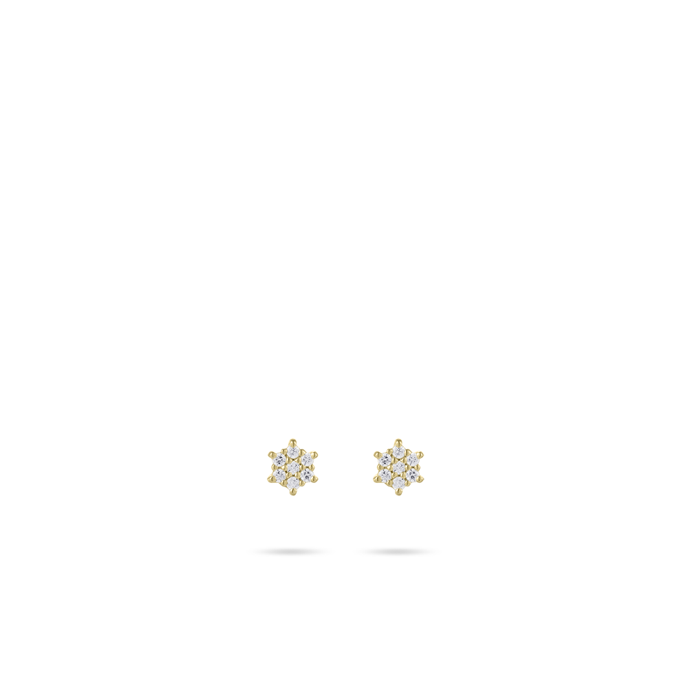 Kleine ster oorbellen 14k goud