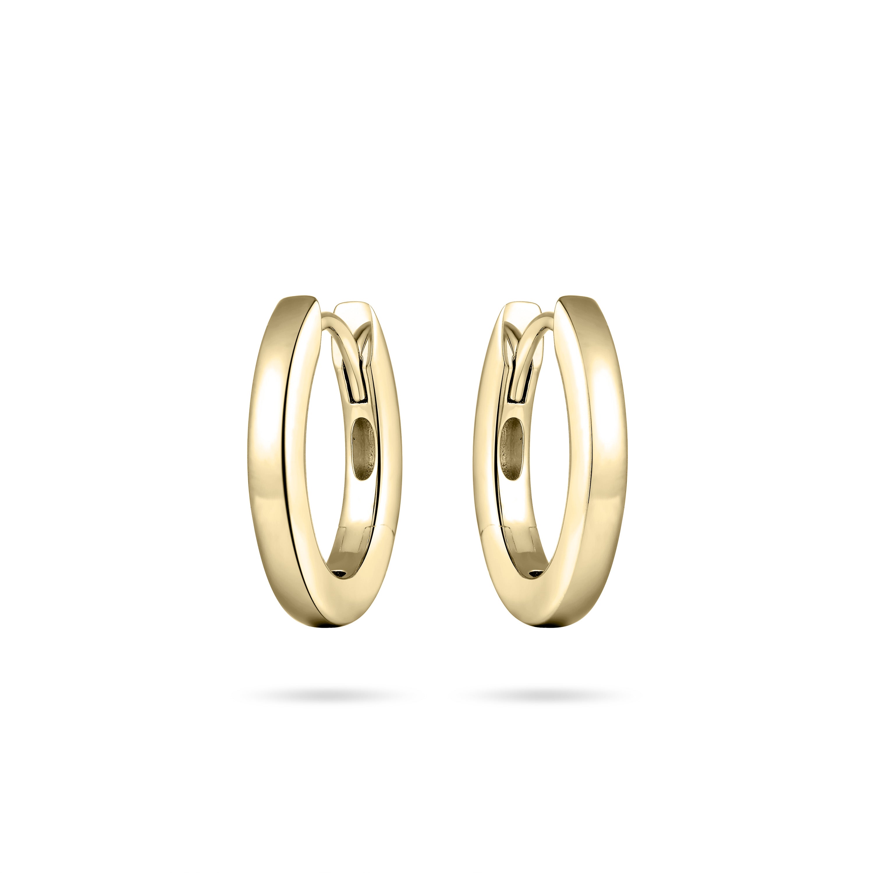 Oval Hoop Earrings